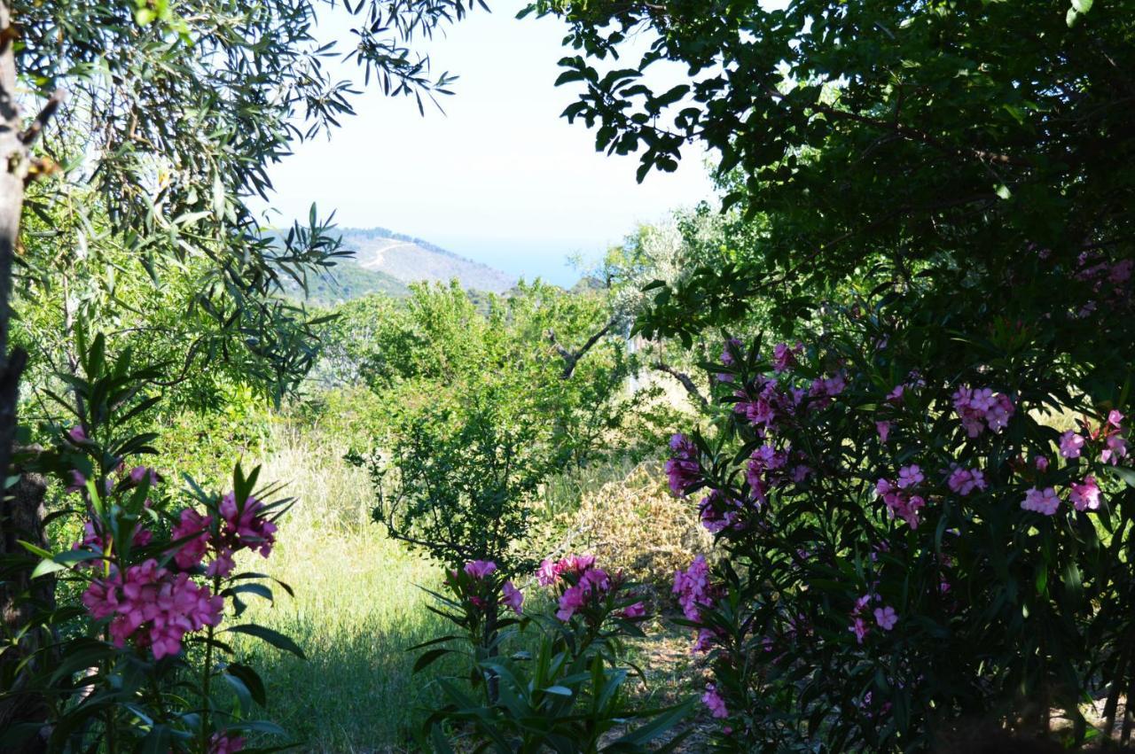 Alikias Country House Panormos  Екстер'єр фото